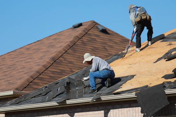 Best Roof Insulation Installation  in Old Hill, CT